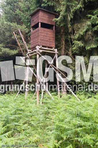 Hochstände (108 von 154).jpg